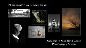 Woodland Grove Photography Studio & Gallery
