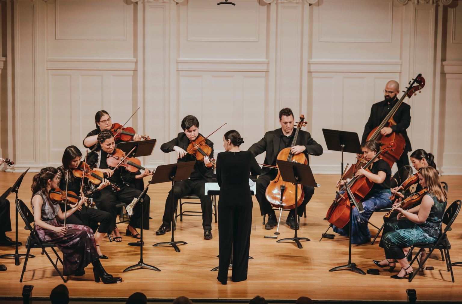 Gallery 1 - Artemis Chamber Orchestra (ACO)