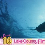 Gallery 2 - The 2026 Lake County Film Festival