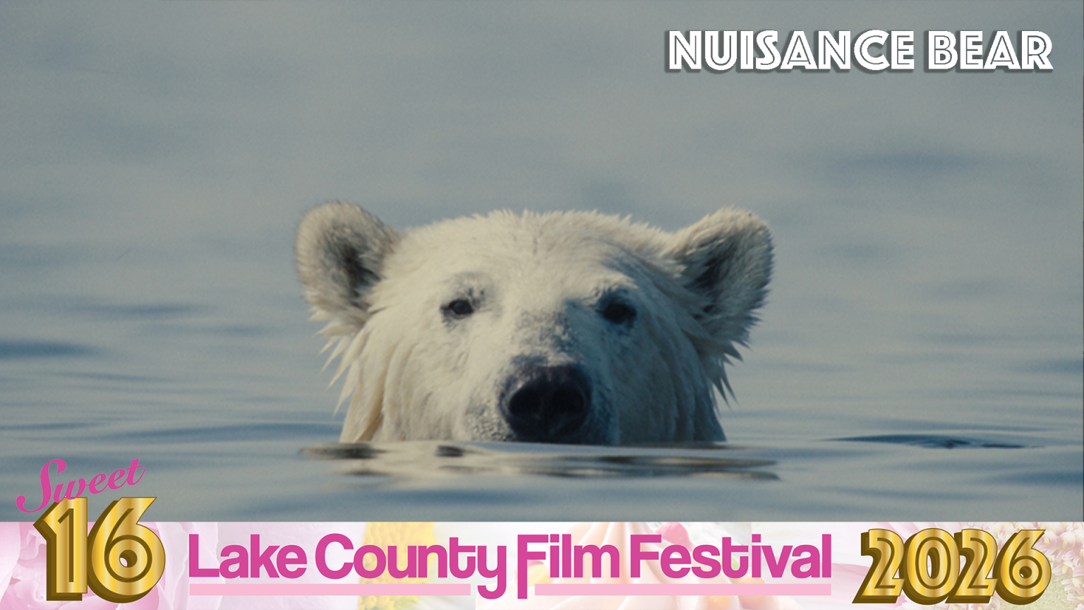Gallery 3 - The 2026 Lake County Film Festival